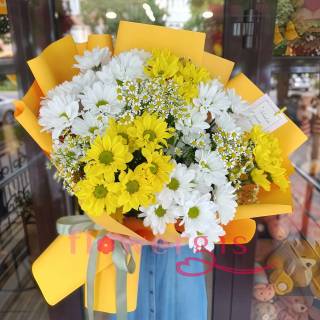 Лучистое утро